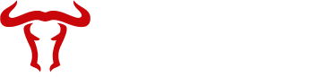 Bullstage - Logo